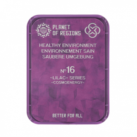 CEF n°16 « Environnement sain » CEF n°16 « Environnement sain »